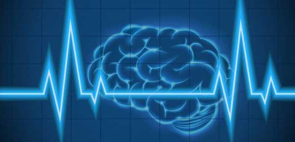 Brain waves 628x290 1