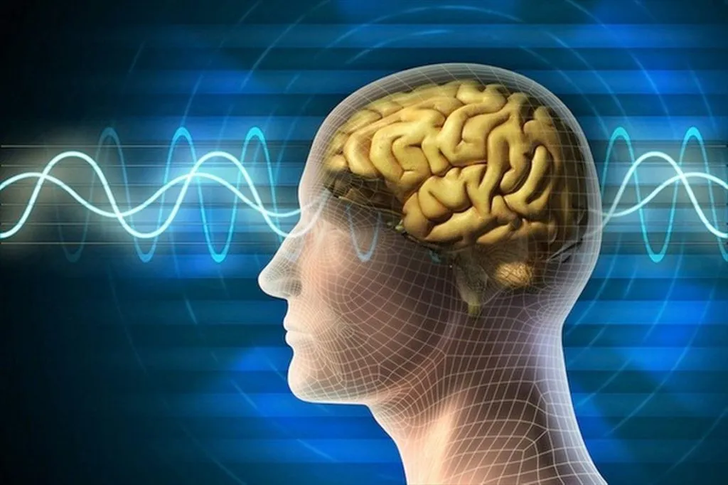 کلینیک خدمات نوروتراپی در مشهد